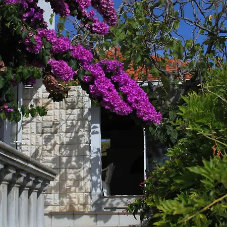 With Wifi Zavalatica, Korcula - 9145 شقة