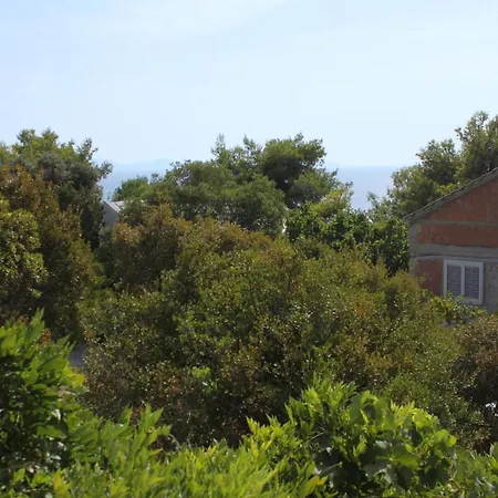 With Wifi Zavalatica, Korcula - 9145