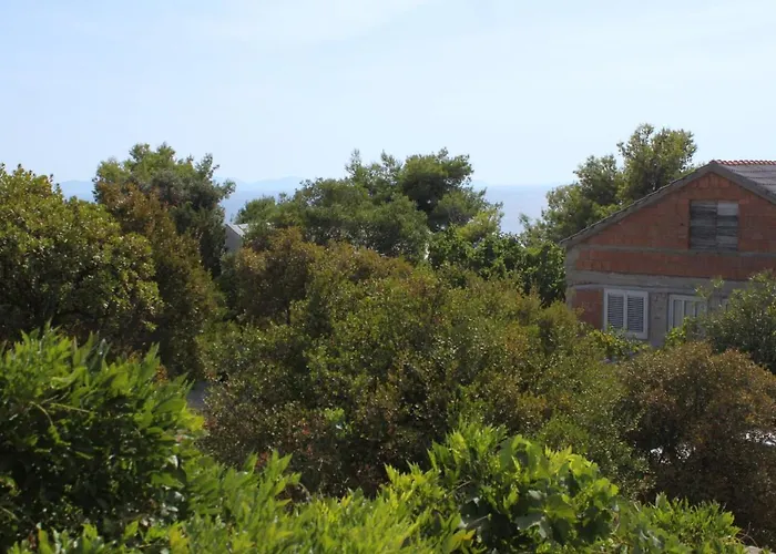 With Wifi Zavalatica, Korcula - 9145