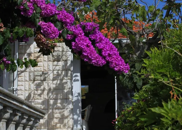 With Wifi Zavalatica, Korcula - 9145 公寓